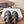 Prada 26s Fisherman's Sandals Coffee Leather 727675