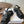 Prada Strappy Sandals 5.5cm Black Leather 728556
