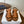 Prada Strappy Sandals 5.5cm Brown Leather 728557