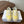 CL Alan Sneakers Light Yellow Canvas Rubber 790668