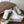 CL Alan Sneakers Teal Green Canvas Rubber 790669