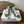 CL Alan Sneakers Teal Green Canvas Rubber 790669