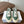 CL Alan Sneakers Teal Green Canvas Rubber 790669