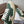 CL Alan Sneakers Teal Green Canvas Rubber 790669