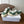 CL Alan Sneakers Teal Green Canvas Rubber 790669