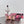 DC Colorful Crystals Pink Lace & Lurex 343138