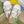 GG Men's Slide White Embossed Suede 595717