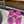 HIGH RHINESTONE CROSS STRAP MULES IN MAGENTA PINK SILK