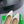 BV 26s Ballet Flats Cream Calfskin