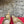 Ferragamo Maxi Gancini Slingback 7.5cm Beige Cowhide