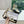CC 25 Sandals Gold Sheepskin 343962