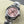 Rolex Day-Date 28mm Silver Pink