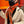 HM 25s Scarf 140cm Orange Colorful Cashmere Silk 962470
