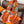 HM 25s Scarf 140cm Orange Colorful Cashmere Silk 962470
