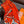 HM 25s Amazing Reversible Scarf 140cm Orange Cashmere Silk 970958
