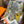 HM 25s The King Scarf 140cm Multicolor Cashmere 973042