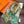 HM 25s L'écharpe du Roi 140cm Cachemire Vert 973045