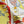 HM 26s Printed Square Scarf 88 In Silk 309942