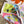 HM 26s Printed Square Scarf 88 In Silk 309945