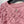 CC SS26 Haut en mousseline orné de plumes Rosette Pink Chiffon 350964