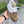 GG Men's Sneaker White Brown Calfskin Canvas 528940