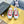 CC 26s Platform Sneakers Red Canvas 832620