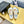 CC 26s Platform Sneakers Orange Canvas 832621