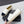 CC Espadrilles Black White Canvas 653921