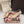 DG Escarpins à bride arrière Rainbow Cuir verni beige 663075
