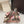 DG Rainbow Slingbacks Leopard Printed Patent Leather 663076