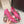 DG Pumps Crystals 6.5cm Hot Pink Taormina Lace 663077