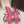 DG Pumps Crystals 6.5cm Hot Pink Taormina Lace 663077