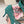 DG Pumps Crystals 6.5cm Teal Green Taormina Lace 663078