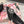 DG Pumps Crystals 6.5cm Black Taormina Lace 663079