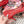 DG Pumps Crystals 6.5cm Red Taormina Lace 663081