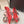 DG Pumps Crystals 6.5cm Red Taormina Lace 663081