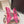 DG Pumps Crystals 9cm Hot Pink Taormina Lace 663083