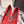 DG Pumps Crystals 9cm Red Taormina Lace 663084
