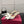 Escarpins babies VT Bowow 85mm cuir ivoire