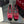 Gucci 2026 Crystal Rhinestone Ballet Flat Red Velvet Leather 629716