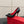 VT Panthea Pumps 105Mm Black Goatskin 630182