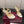 GG G-Buckle High-Heeled Sandals 10.5cm Ivory Cowhide 725305