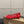 CL Degrastrassina Perla Ballet Flat Red Mesh 828162