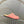 Miu 26s Loafer Mules Light Pink Ostrich Leather 794783