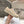 CELINE 25C Trainer Sneaker Sofr Apricot Canvas 236761