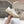 CELINE 25C Trainer Sneaker White Canvas 236763