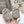 CELINE 25C SNEAKERS GRAY SUEDE 236764