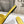 Loewe 25 Pebble Slide Yellow Calfskin
