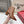 VT Short Boot Medium Cognac Brown Calfskin 174417