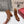 VT Short Boot Medium Cognac Brown Calfskin 174417
